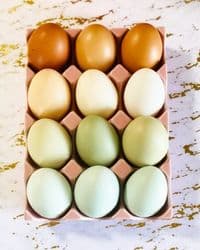 Picture of naturally colored farm eggs for 5 ways to make homemade bread better.