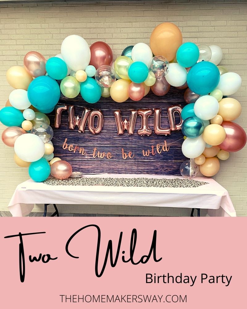 Two wild birthday party theme