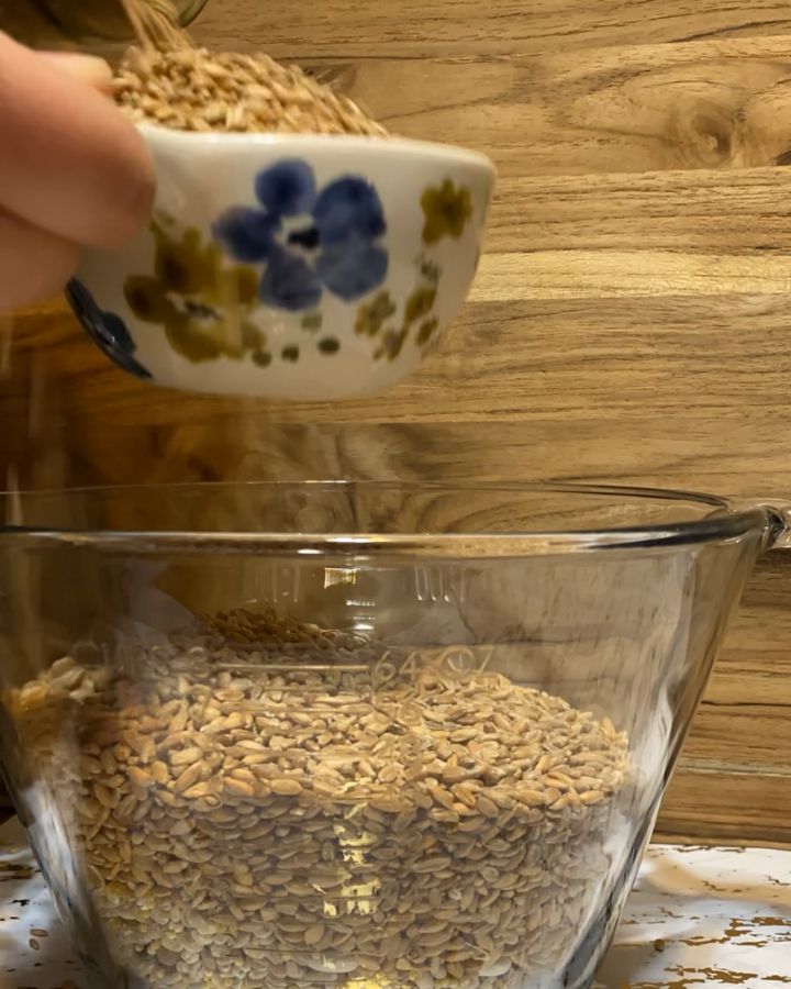 pouring spelt berries into a bowl with other grains and legumes.
